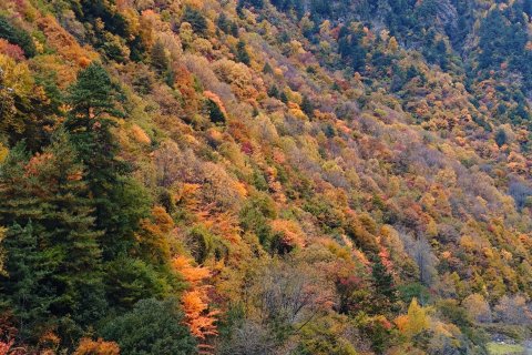 理县毕棚·拾光温泉酒店