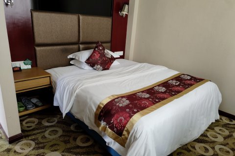 平武盛世假日主题酒店