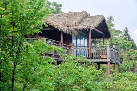 遵义颐方竹度假酒店