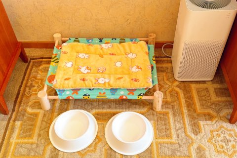 洛阳华阳广场国际大饭店