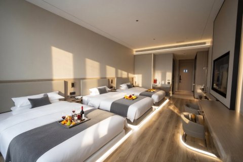 岳池翠湖印象酒店