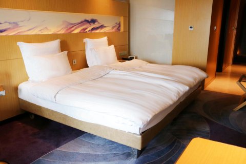 苏州金鸡湖文博诺富特酒店