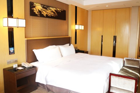 安阳迎宾馆(文峰大道迎宾公园店)