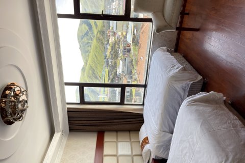 久治莲花商务大酒店