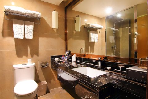 南江世纪朝阳大饭店(光雾山广场店)