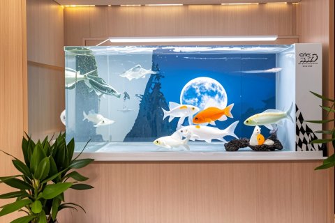 Koi·舟山锦鲤酒店(普陀半升洞码头店)