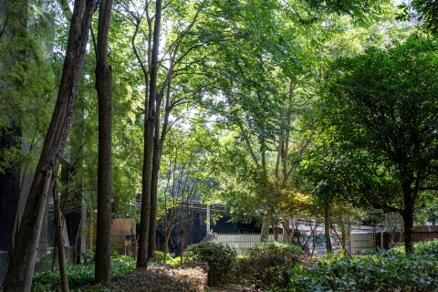 盛铂仕丹·天羿大酒店(岳池站店)