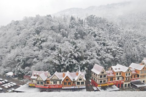 花水湾第一村森林温泉酒店