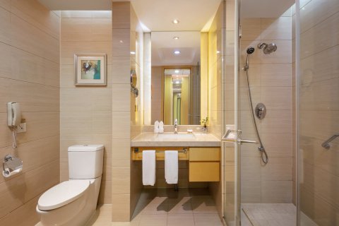 杭州萧山国际机场雷迪森酒店