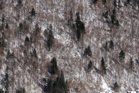 雪乡纳山纳雪酒店(雪韵大街店)