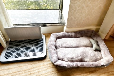 仁寿嘉斯曼国际酒店