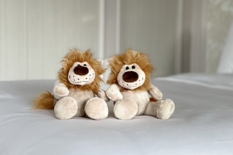 海口丽思卡尔顿酒店