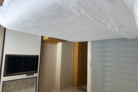 麗枫酒店(河源紫金店)(近宝成商业广场)