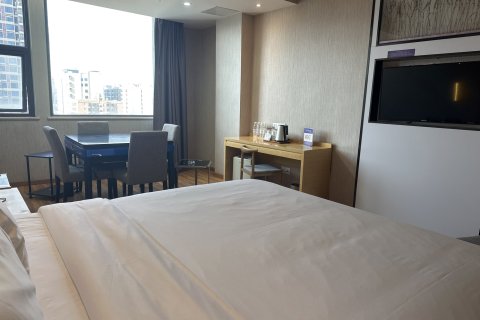 麗枫酒店(河源紫金店)(近宝成商业广场)