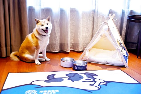 长白山万达喜来登度假酒店