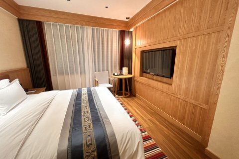 拉萨萨诺生态大酒店(大昭寺富氧店)