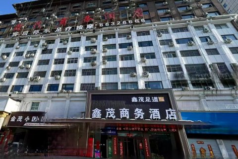 嵩县金茂假日酒店