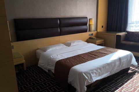 东阿紫金国际大酒店