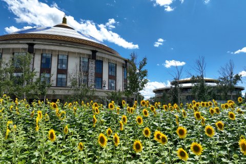 塞罕坝阿尔卡迪亚酒店