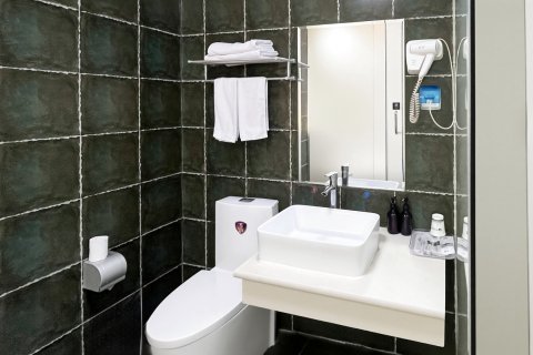 界首假日风尚酒店(火车站店)