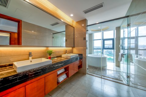 德安雅悦大酒店