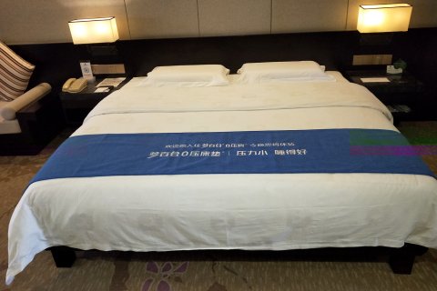 天成国际大酒店(百色田东湿地公园店)