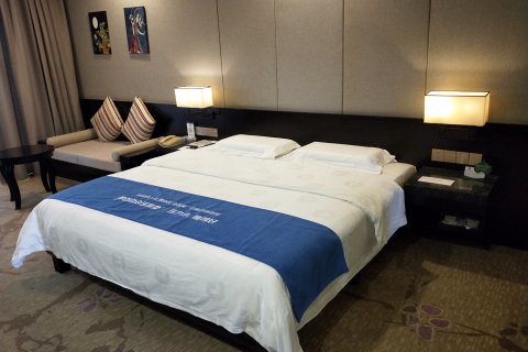 天成国际大酒店(百色田东湿地公园店)