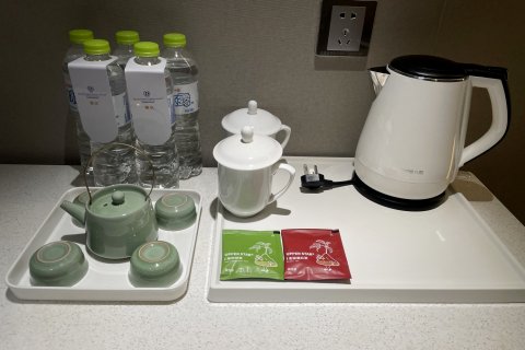 东盛丽洲假日酒店(冠县店)