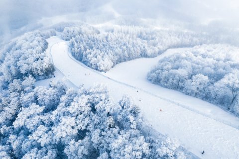 长白山凯悦酒店
