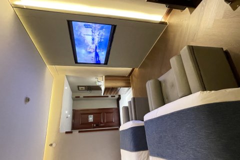 东盛丽洲假日酒店(冠县店)