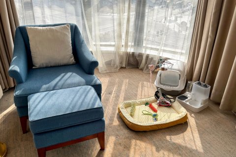 旌德海螺国际大酒店