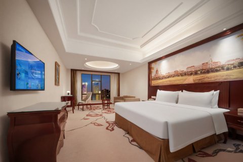 维也纳酒店(娄底万豪城市广场店)