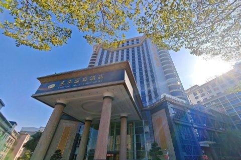 丰顺宝丰温泉酒店