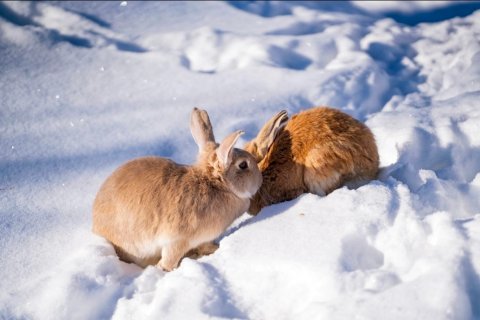 长白山天域度假酒店