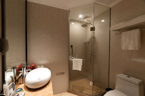 麗枫酒店(广州天河正佳广场店)