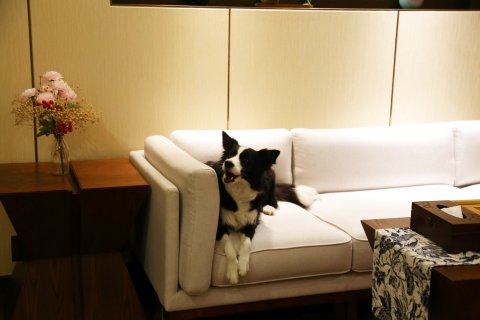 龙岩冠豸秘谷佰翔度假酒店