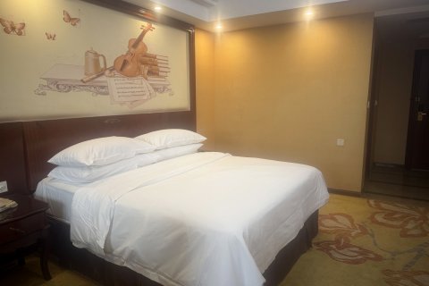 维也纳国际酒店(揭阳楼宝德时代广场店)