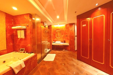 丰顺宝丰温泉酒店