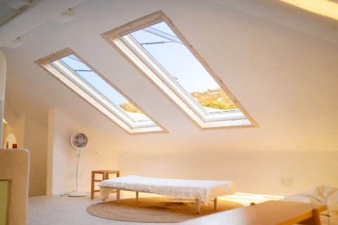 厦门oneday薄荷设计师