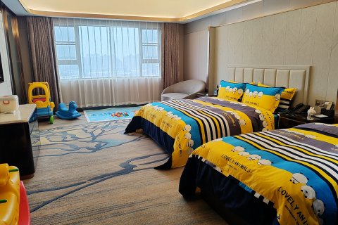 龙阳国际大酒店(汉寿万达广场店)