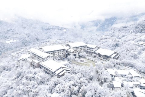 神农架阿尔卡迪亚森林酒店