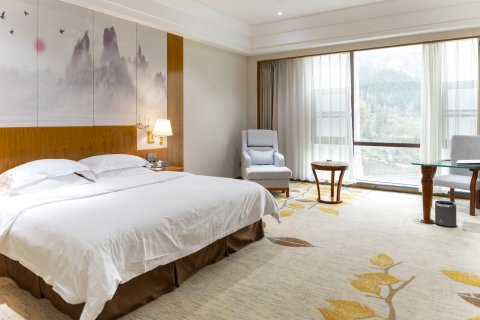 剑阁剑门关国际温泉大酒店