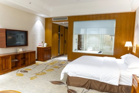 剑阁剑门关国际温泉大酒店