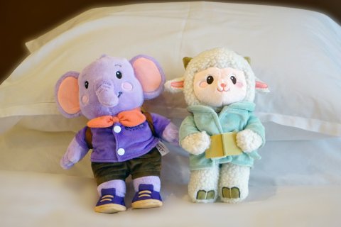 镇江康华汇利喜来登酒店