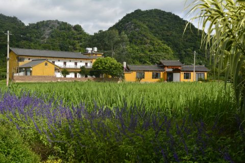 普者黑山水闲庭客栈