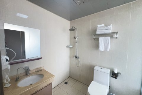 西平龙泉花园酒店