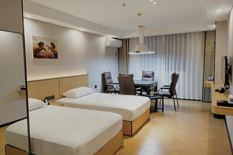 新干灯饰城大酒店(吉安新干站店)