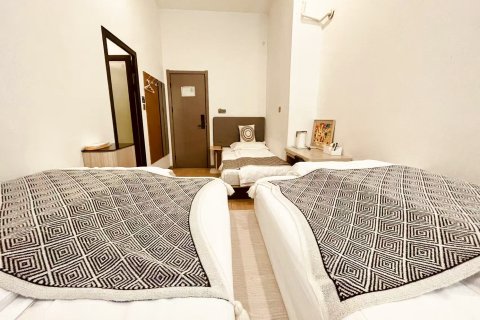 西安万青民宿(大雁塔大唐不夜城店)