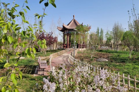 喀什天缘国际酒店