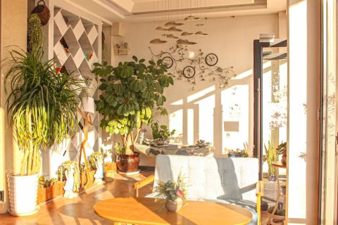 大理伽蓝海景客栈